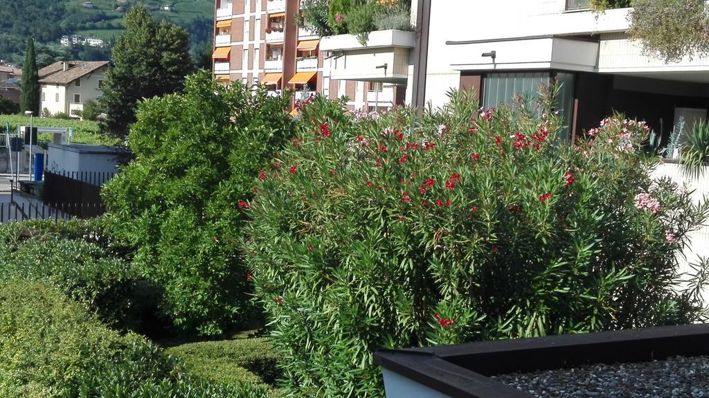 Camere Bolzano Da Glauco Kültér fotó